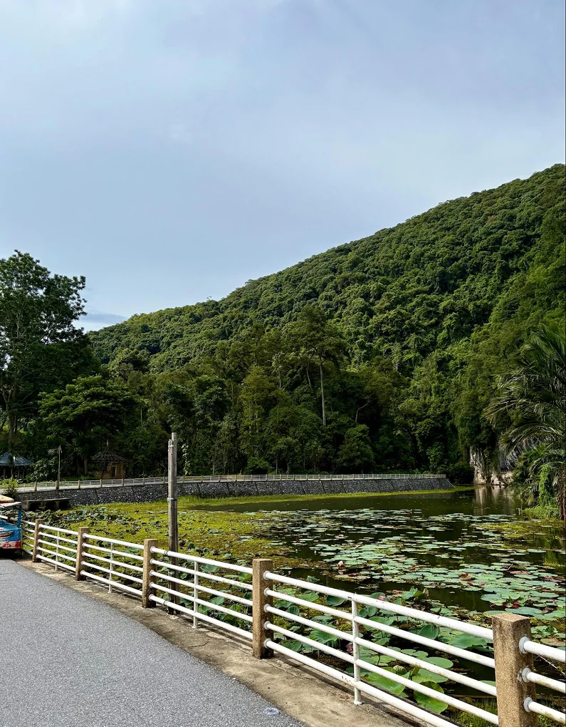 A lily pond and forested mountain in front of the Khuha Phimuk Cave, Yala